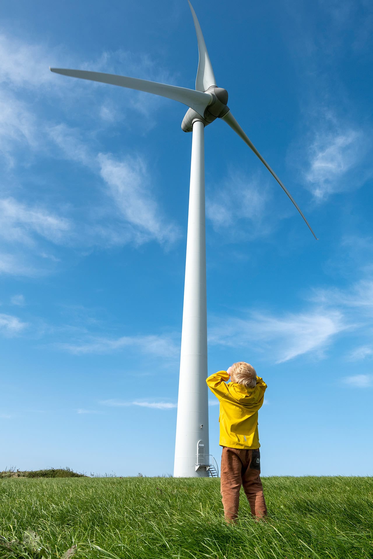 Wind turbin discount